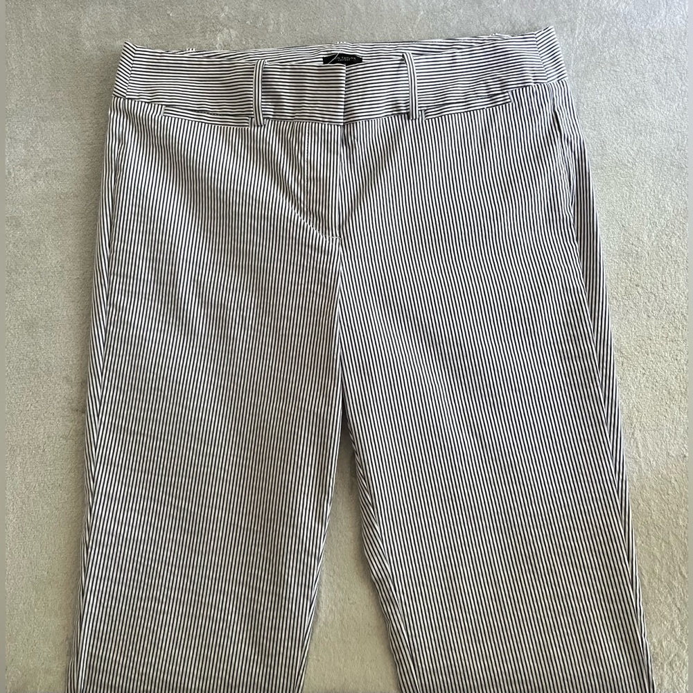 Ann Taylor Striped Blue and White Ankle Pants- Size 10